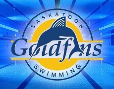 Saskatoon Goldfins Swimming